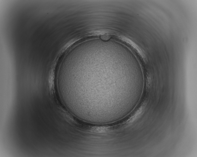 X0000102400778200808081304