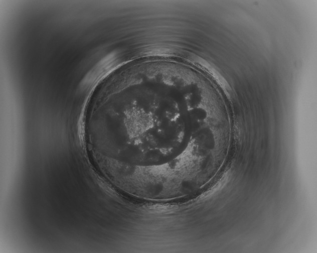 X0000102400779200808081304