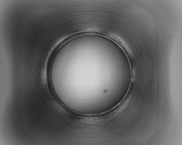 X0000102400780200808081304