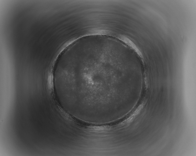 X0000102400781200808081303