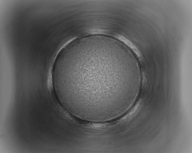 X0000102400782200808081303