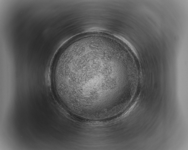 X0000102400783200808081303