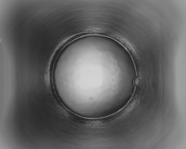 X0000102400784200808081303