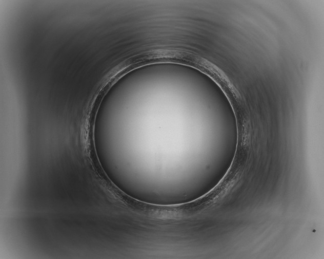 X0000102400786200808081303