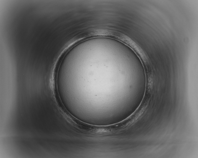 X0000102400787200808081303