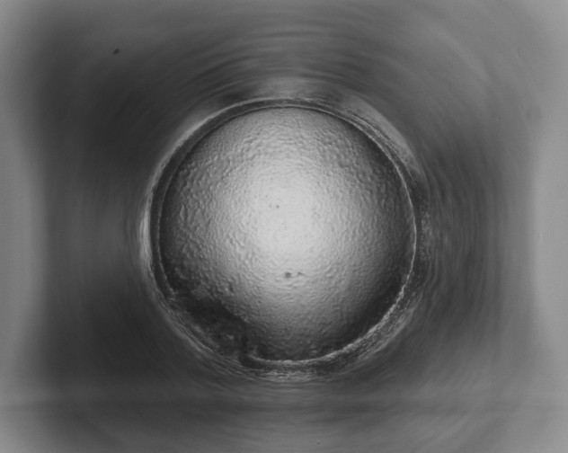 X0000102400788200808081303