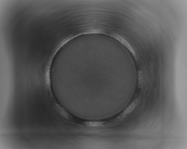 X0000102400789200808081303