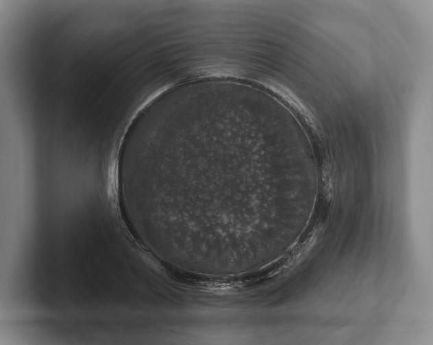 X0000102400790200808081303