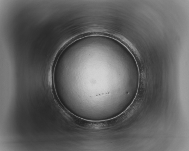 X0000102400791200808081303