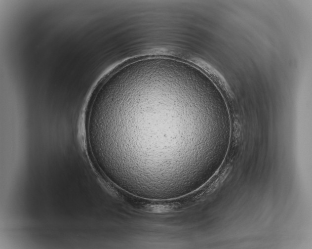 X0000102400792200808081303