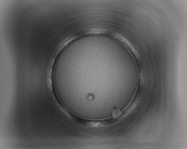 X0000102400794200808081303