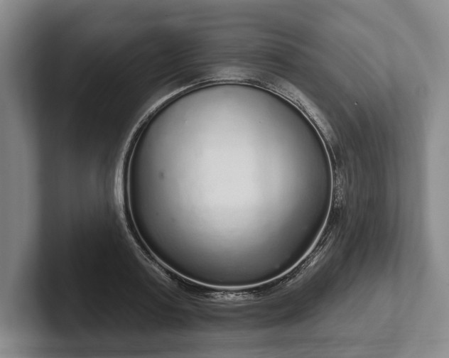 X0000102400795200808081303