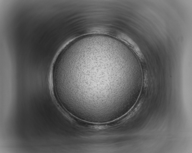 X0000102400796200808081303