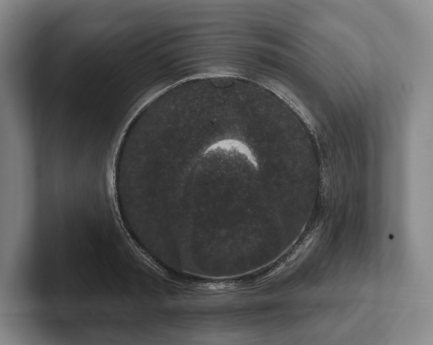 X0000102400797200808081303