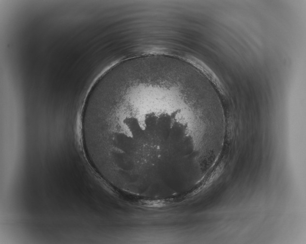 X0000102400798200808081303