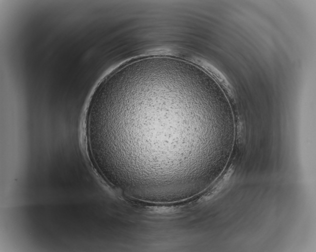 X0000102400800200808081303