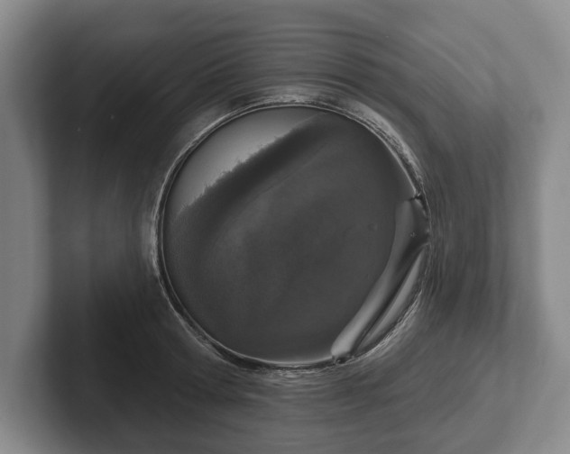 X0000102400802200808081303