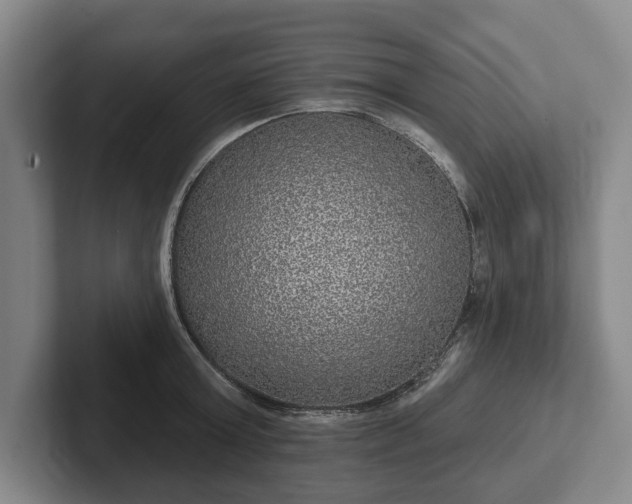 X0000102400803200808081303