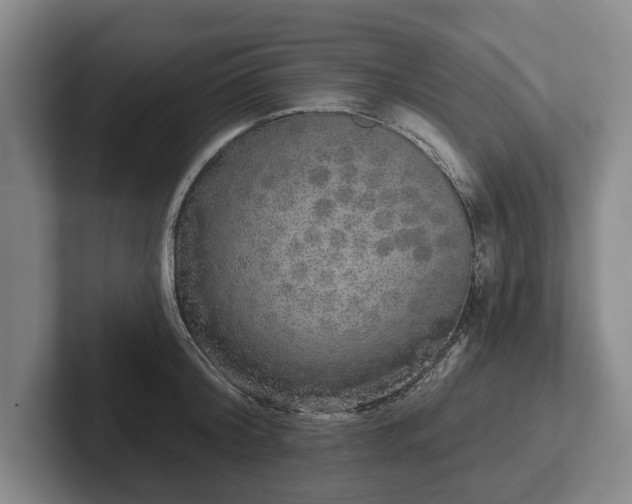 X0000102400804200808081303