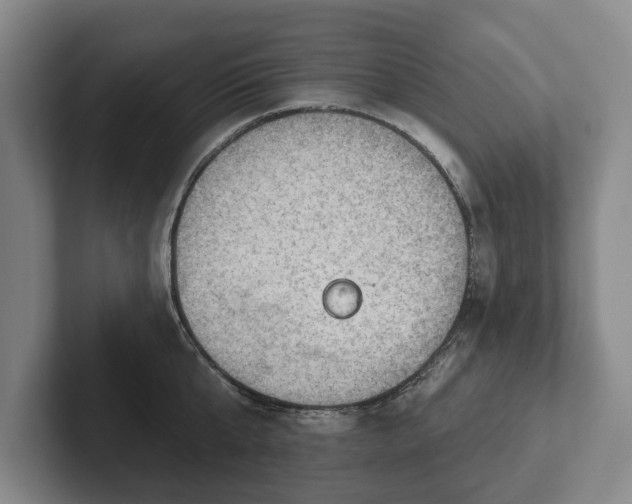 X0000102400807200808081303