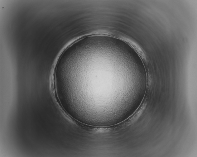 X0000102400808200808081303