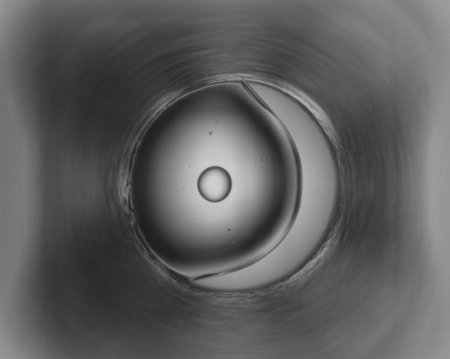 X0000102400809200808081303