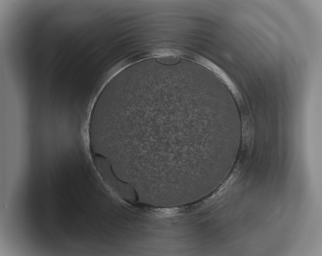 X0000102400810200808081303