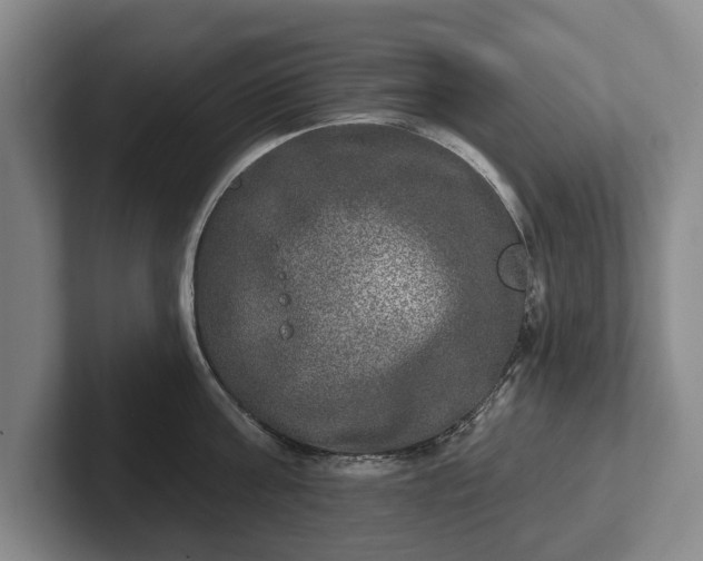 X0000102400811200808081303