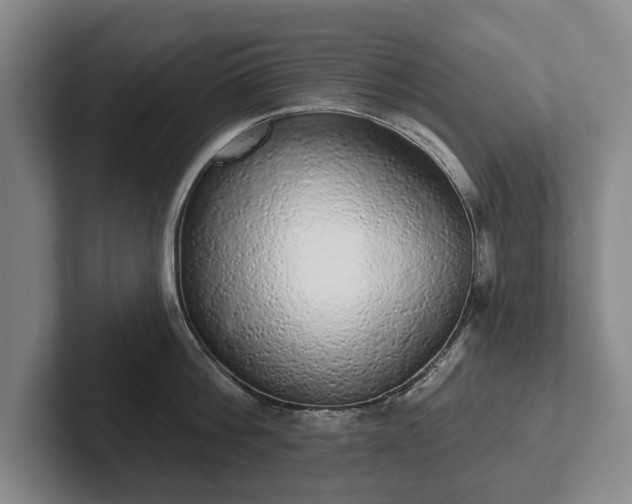 X0000102400812200808081303