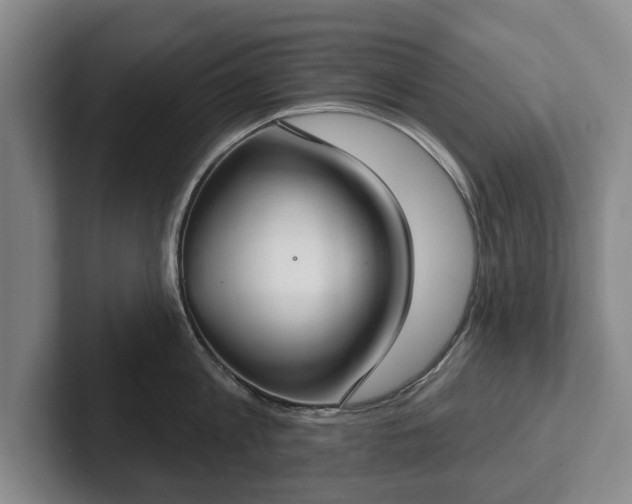 X0000102400813200808081303