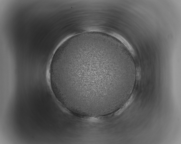 X0000102400814200808081303