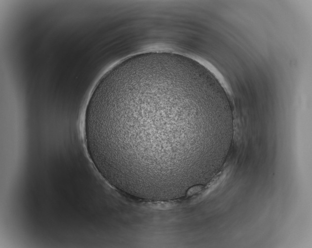 X0000102400815200808081303