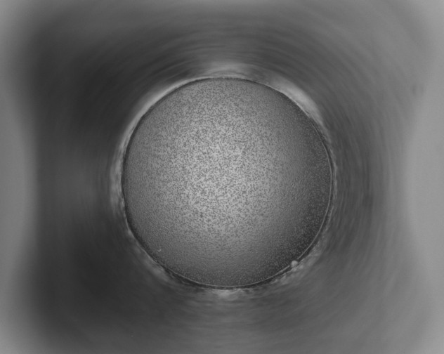 X0000102400816200808081303