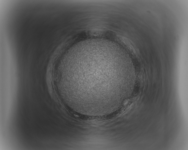 X0000102400817200808081302