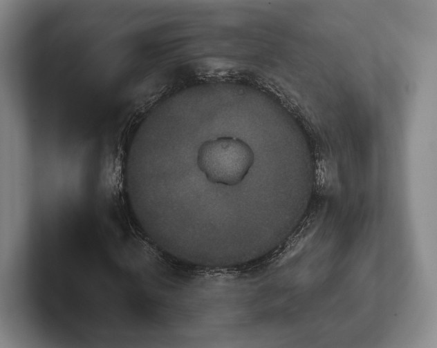 X0000102400820200808081302