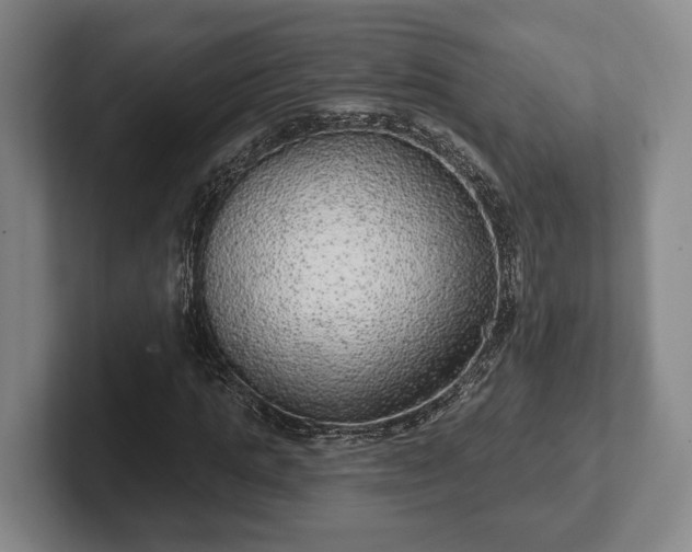 X0000102400821200808081302