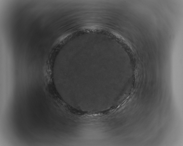 X0000102400822200808081302