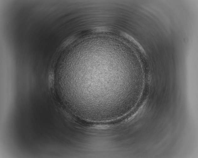 X0000102400825200808081303