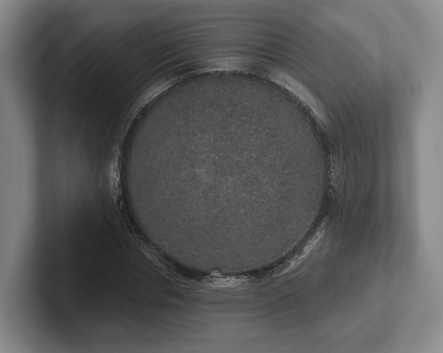 X0000102400826200808081303