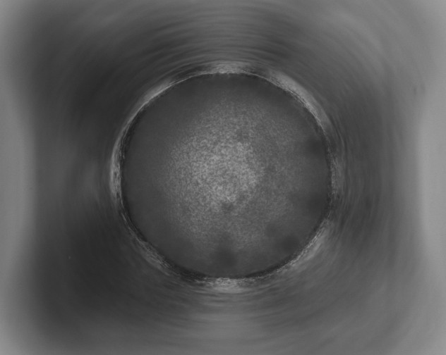 X0000102400827200808081303