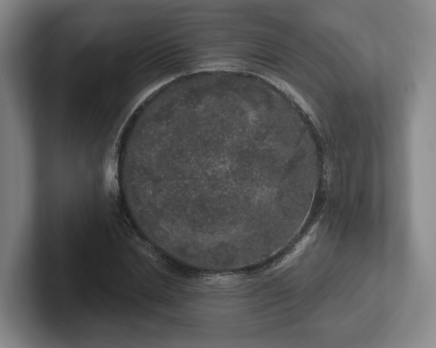 X0000102400830200808081303