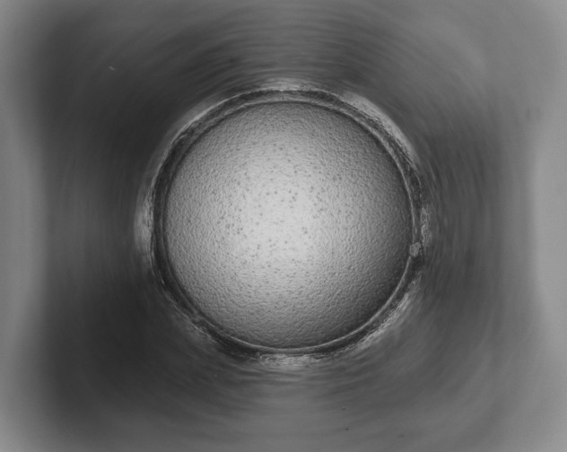 X0000102400831200808081303