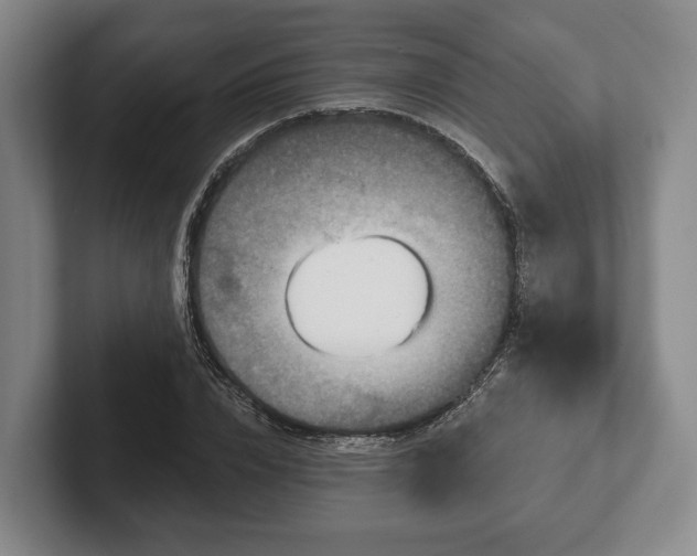 X0000102400832200808081303