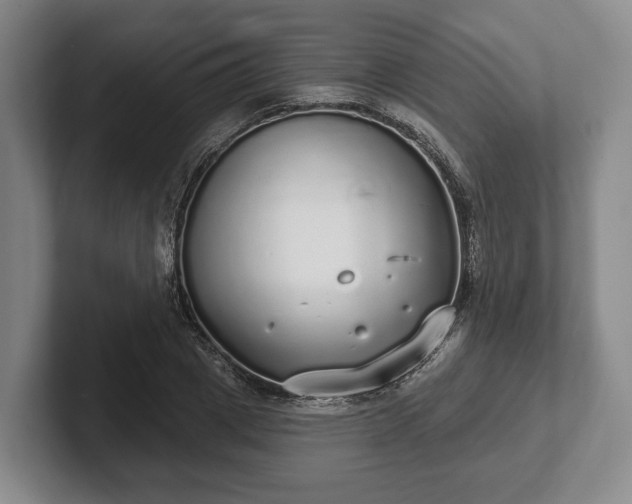 X0000102400833200808081303