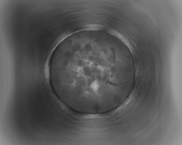 X0000102400835200808081303