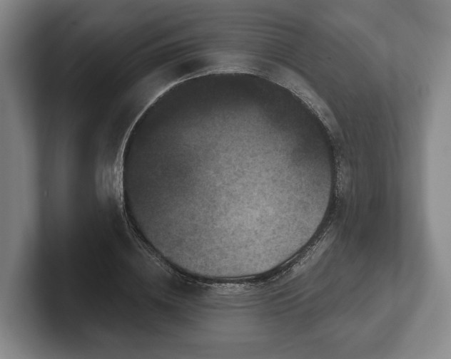 X0000102400836200808081303