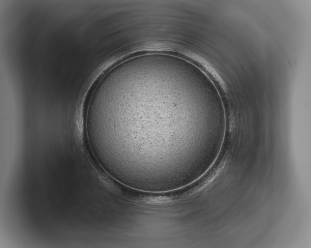 X0000102400837200808081303