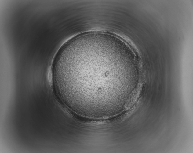 X0000102400838200808081303