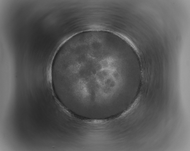 X0000102400839200808081303