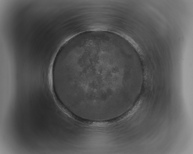 X0000102400840200808081303